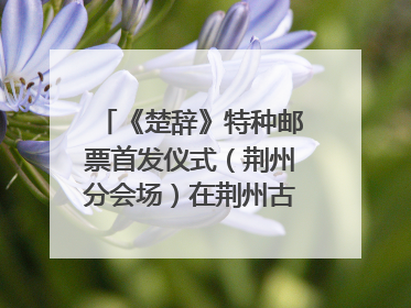 《楚辞》特种邮票首发仪式（荆州分会场）在荆州古城宾阳楼举行