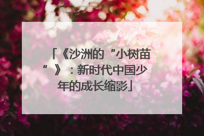 《沙洲的“小树苗”》：新时代中国少年的成长缩影