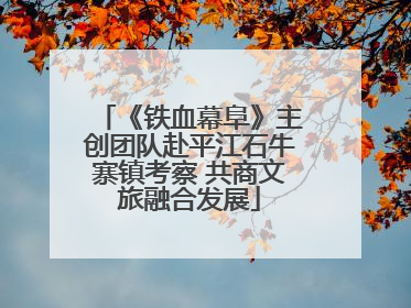 《铁血幕阜》主创团队赴平江石牛寨镇考察 共商文旅融合发展