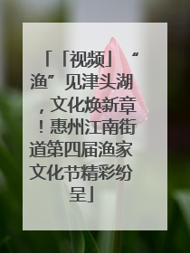 「视频」“渔”见津头湖，文化焕新章！惠州江南街道第四届渔家文化节精彩纷呈