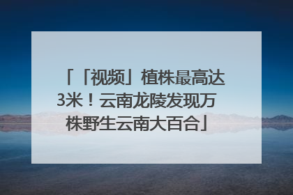 「视频」植株最高达3米！云南龙陵发现万株野生云南大百合