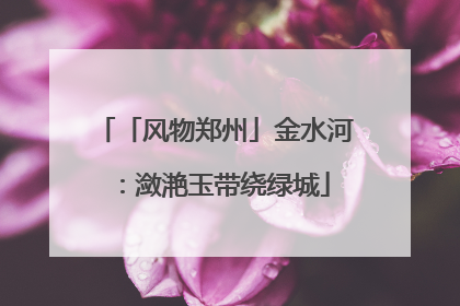 「风物郑州」金水河：潋滟玉带绕绿城