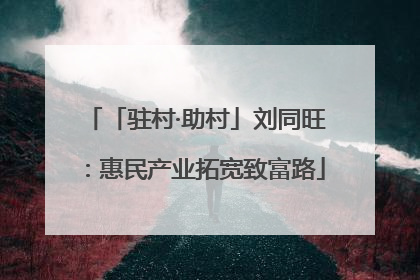 「驻村·助村」刘同旺：惠民产业拓宽致富路