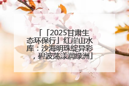 「2025甘肃生态环保行」红崖山水库：沙海明珠绽异彩，碧波荡漾润绿洲