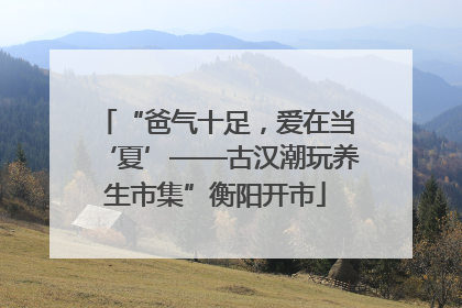 “爸气十足，爱在当‘夏’——古汉潮玩养生市集”衡阳开市