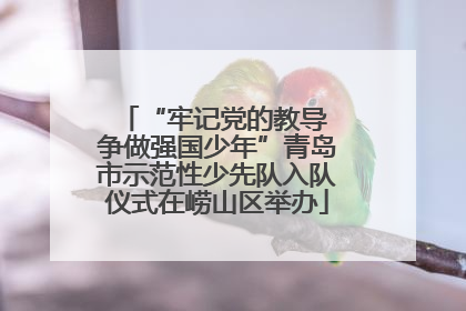 “牢记党的教导 争做强国少年”青岛市示范性少先队入队仪式在崂山区举办