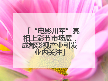 “电影川军”亮相上影节市场展，成都影视产业引发业内关注