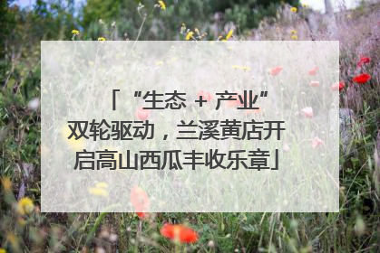 “生态 + 产业”双轮驱动，兰溪黄店开启高山西瓜丰收乐章