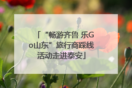 “畅游齐鲁 乐Go山东”旅行商踩线活动走进泰安