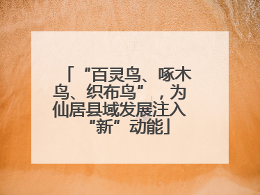 “百灵鸟、啄木鸟、织布鸟”，为仙居县域发展注入“新”动能
