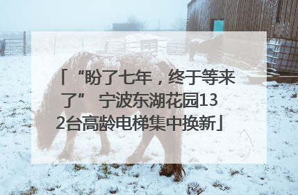 “盼了七年，终于等来了” 宁波东湖花园132台高龄电梯集中换新