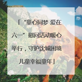 “童心同梦 爱在六一”慰问活动暖心举行，守护沈城困境儿童幸福童年