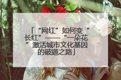 “网红”如何变“长红”——“一朵花”激活城市文化基因的破题之路