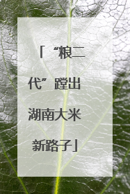“粮二代”蹚出湖南大米新路子