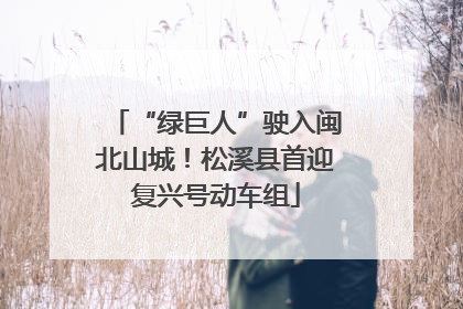 “绿巨人”驶入闽北山城！松溪县首迎复兴号动车组