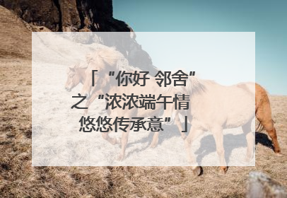 “你好 邻舍”之“浓浓端午情 悠悠传承意”