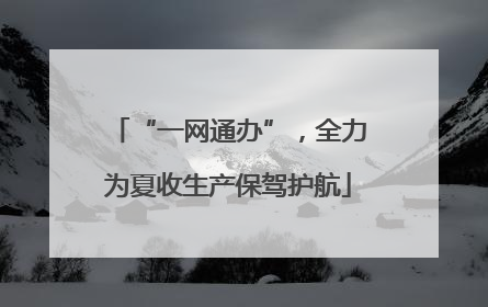 “一网通办”，全力为夏收生产保驾护航