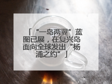 “一岛两翼”蓝图已展，在复兴岛面向全球发出“杨浦之约”