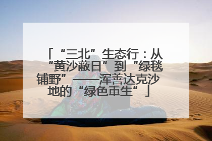 “三北”生态行：从“黄沙蔽日”到“绿毯铺野”——浑善达克沙地的“绿色重生”