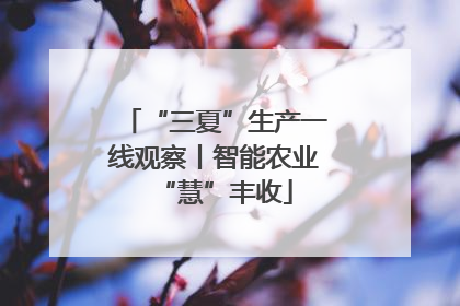 “三夏”生产一线观察丨智能农业“慧”丰收