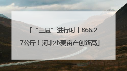 “三夏”进行时丨866.27公斤！河北小麦亩产创新高