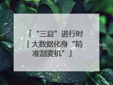 “三夏”进行时｜大数据化身“精准割麦机”