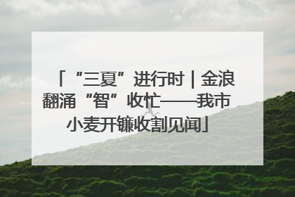 “三夏”进行时｜金浪翻涌“智”收忙——我市小麦开镰收割见闻