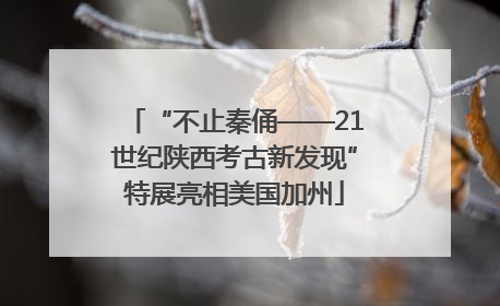 “不止秦俑——21世纪陕西考古新发现”特展亮相美国加州
