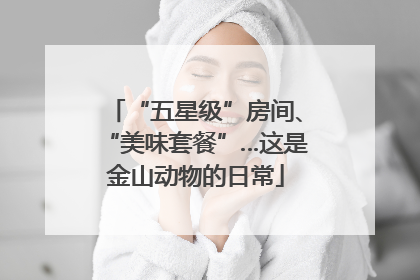 “五星级”房间、“美味套餐”…这是金山动物的日常