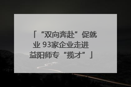 “双向奔赴”促就业 93家企业走进益阳师专“揽才”