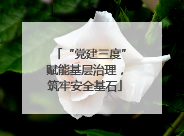 “党建三度”赋能基层治理，筑牢安全基石
