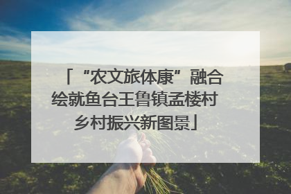 “农文旅体康”融合绘就鱼台王鲁镇孟楼村乡村振兴新图景