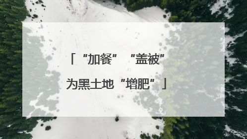 “加餐”“盖被” 为黑土地“增肥”