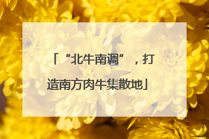 “北牛南调”，打造南方肉牛集散地