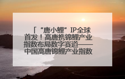 “唐小鲤”IP全球首发！高唐携锦鲤产业指数布局数字赛道——中国高唐锦鲤产业指数暨“唐小鲤”IP全球首发仪式在杭州举行