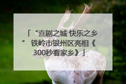 “喜剧之城 快乐之乡” 铁岭市银州区亮相《300秒看家乡》