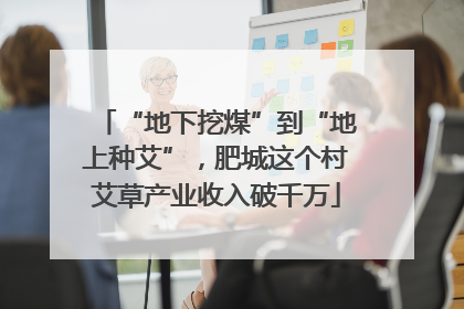 “地下挖煤”到“地上种艾”，肥城这个村艾草产业收入破千万