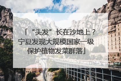 “头发”长在沙地上？宁夏发现大规模国家一级保护植物发菜群落