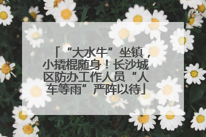 “大水牛”坐镇，小撬棍随身！长沙城区防办工作人员“人车等雨”严阵以待
