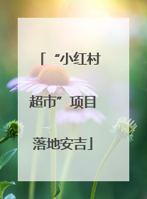 “小红村超市”项目落地安吉