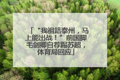 “我祖籍泰州，马上能出战！”前国脚毛剑卿自荐踢苏超，体育局回应