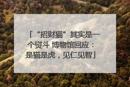 “招财猫”其实是一个熨斗 博物馆回应：是猫是虎，见仁见智