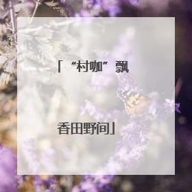 “村咖”飘香田野间