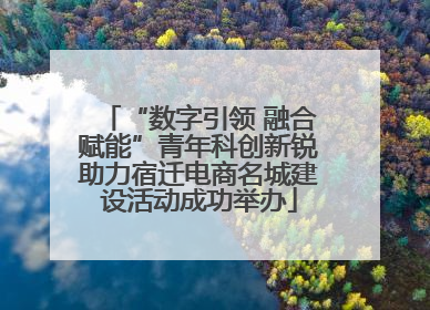“数字引领 融合赋能”青年科创新锐助力宿迁电商名城建设活动成功举办