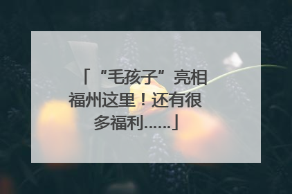 “毛孩子”亮相福州这里！还有很多福利……