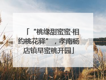 “桃缘甜蜜蜜·相约桃花驿”，孝南杨店镇早蜜桃开园