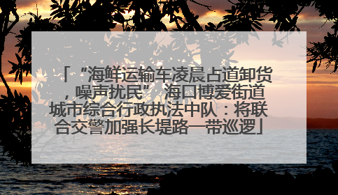 “海鲜运输车凌晨占道卸货，噪声扰民” 海口博爱街道城市综合行政执法中队：将联合交警加强长堤路一带巡逻