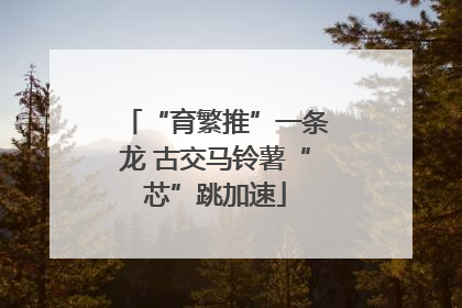 “育繁推”一条龙 古交马铃薯“芯”跳加速