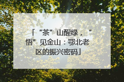 “茶”山醒绿，“悟”见金山：鄂北老区的振兴密码
