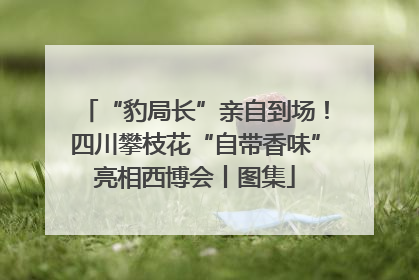 “豹局长”亲自到场！四川攀枝花“自带香味”亮相西博会丨图集